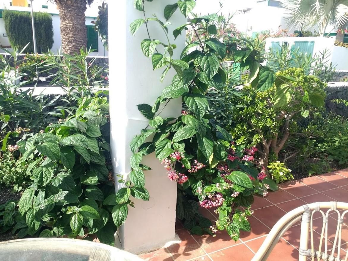 Casa Maracuya Villa Costa Teguise Bagian luar foto