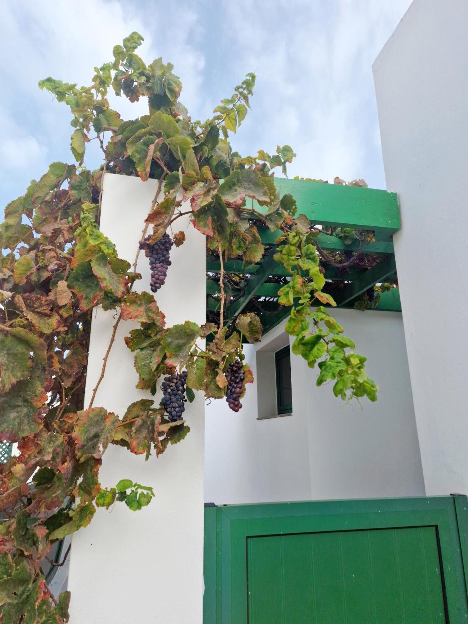 Casa Maracuya Villa Costa Teguise Bagian luar foto